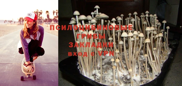 2c-b Лиски