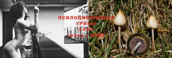 2c-b Лиски