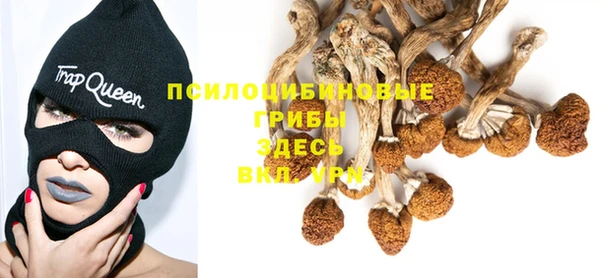 2c-b Лиски
