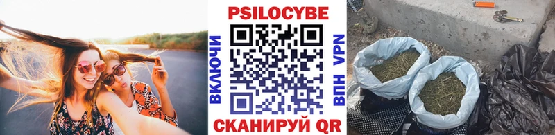 Псилоцибиновые грибы ЛСД  Купить закладки  Сунжа 